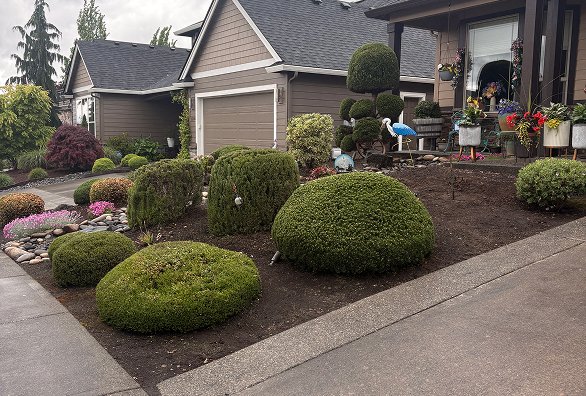 landscaping services img
